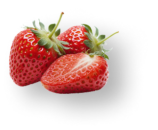 Frozen Fruits