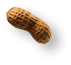Peanuts