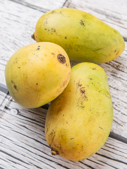 TJC Mango
